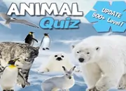 Animal Quiz