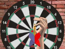 Darts 501 And More