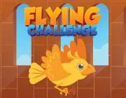 Flying Challenge