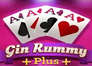 Gin Rummy Plus