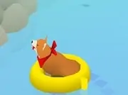 Raft Dogs